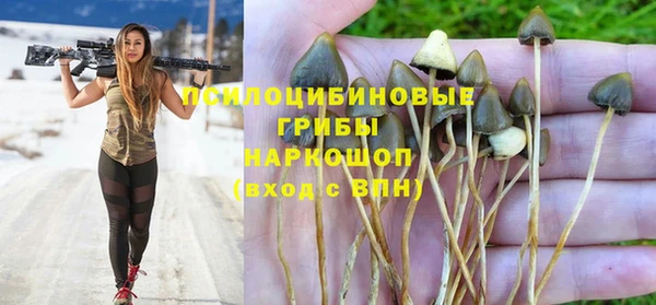 бошки Надым